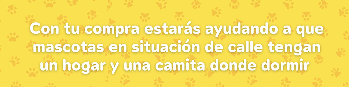 Cama Ortopédica Clasica
