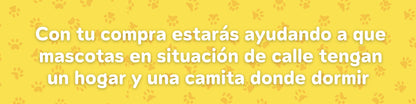 Cama Ortopédica Clasica