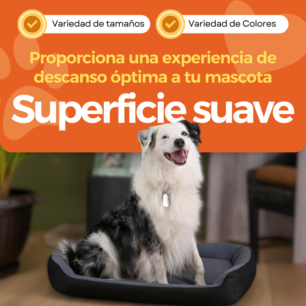Cama Ortopédica Clasica