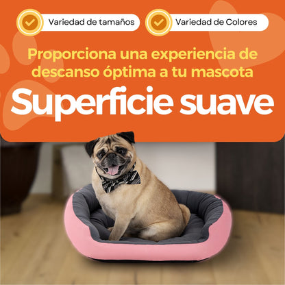 Cama Ortopédica Clasica