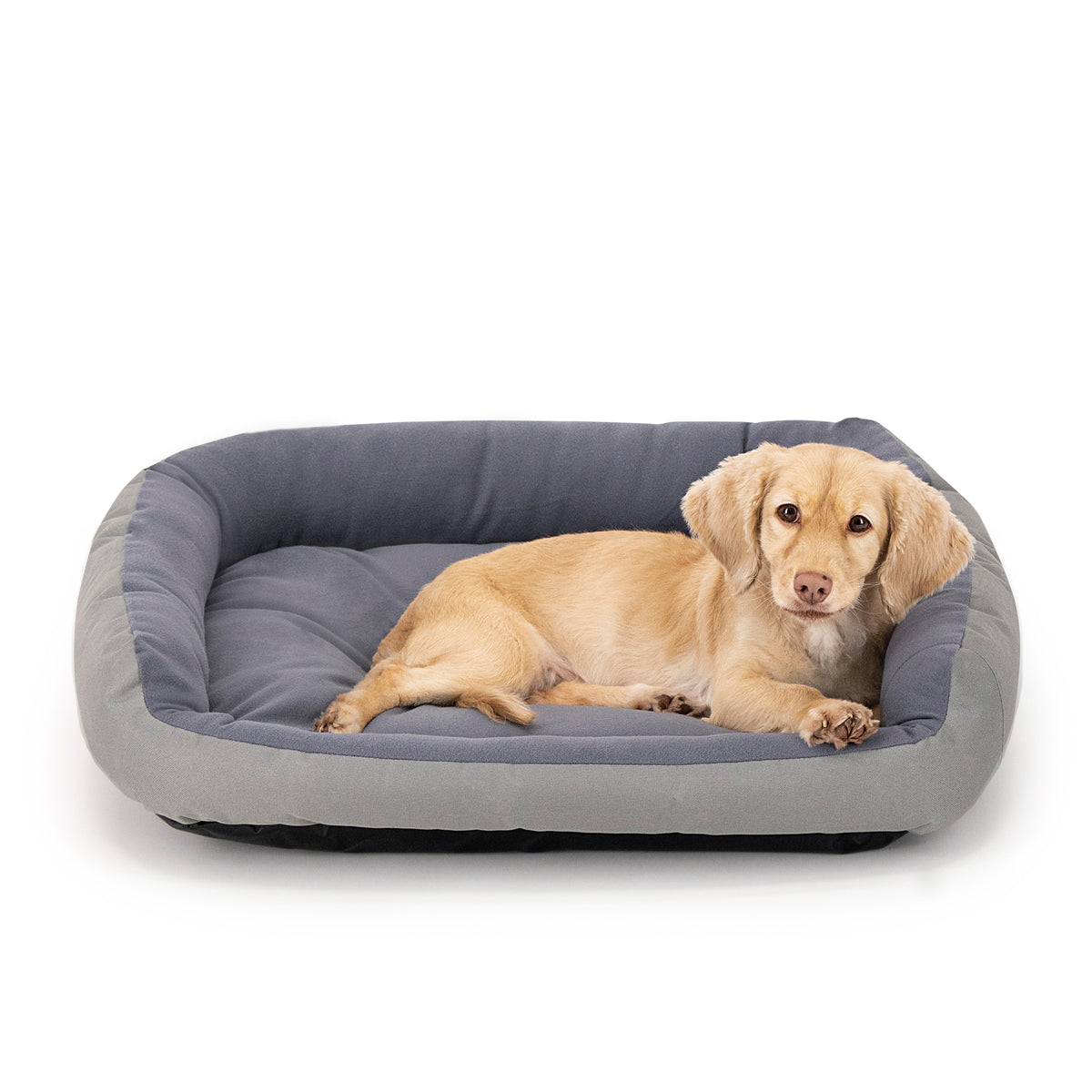 Cama Ortopédica Clasica