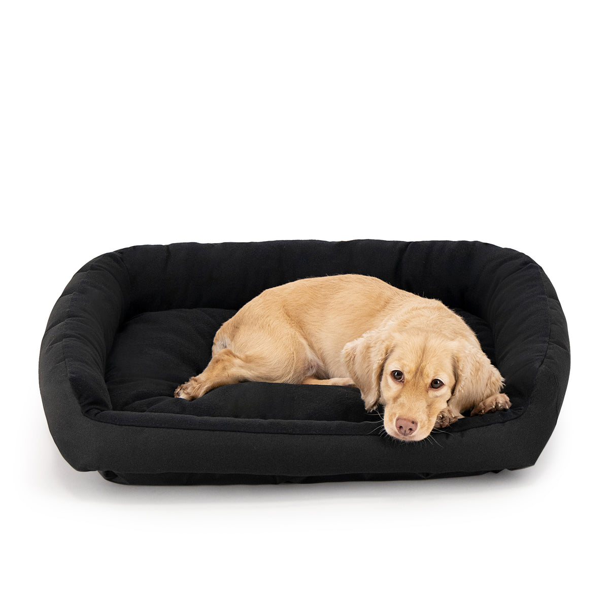 Cama Ortopédica Clasica
