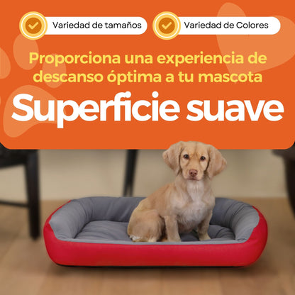 Cama Ortopédica Clasica