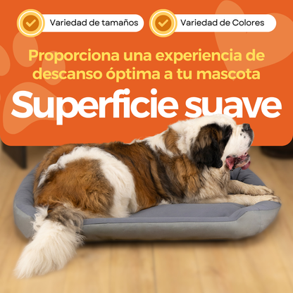 Cama Ortopédica Clasica