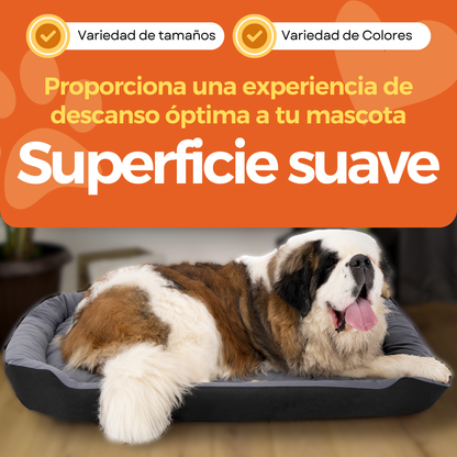 Cama Ortopédica Clasica