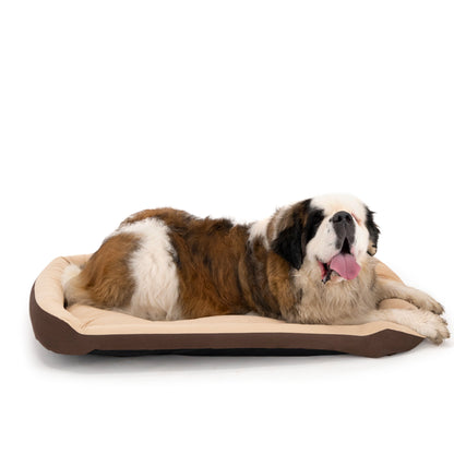 Cama Ortopédica Clasica