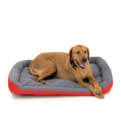 Cama Ortopédica Clasica