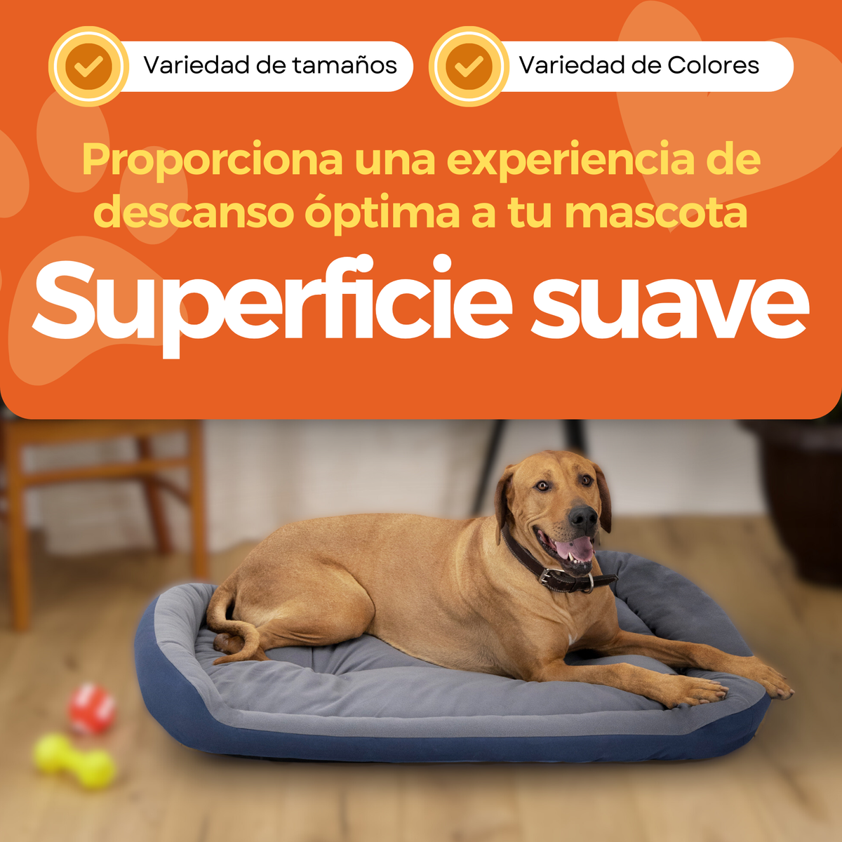 Cama Ortopédica Clasica