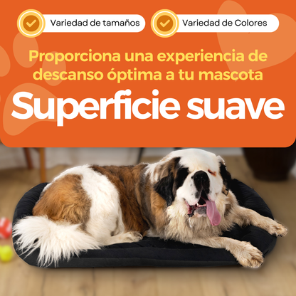 Cama Ortopédica Clasica