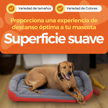 Cama Ortopédica Clasica