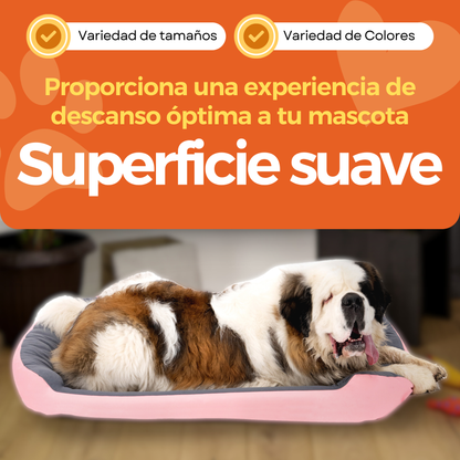 Cama Ortopédica Clasica