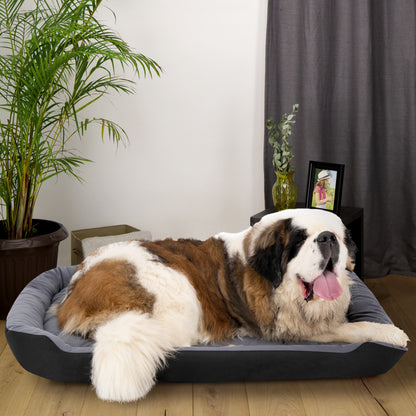 Cama Ortopédica Clasica
