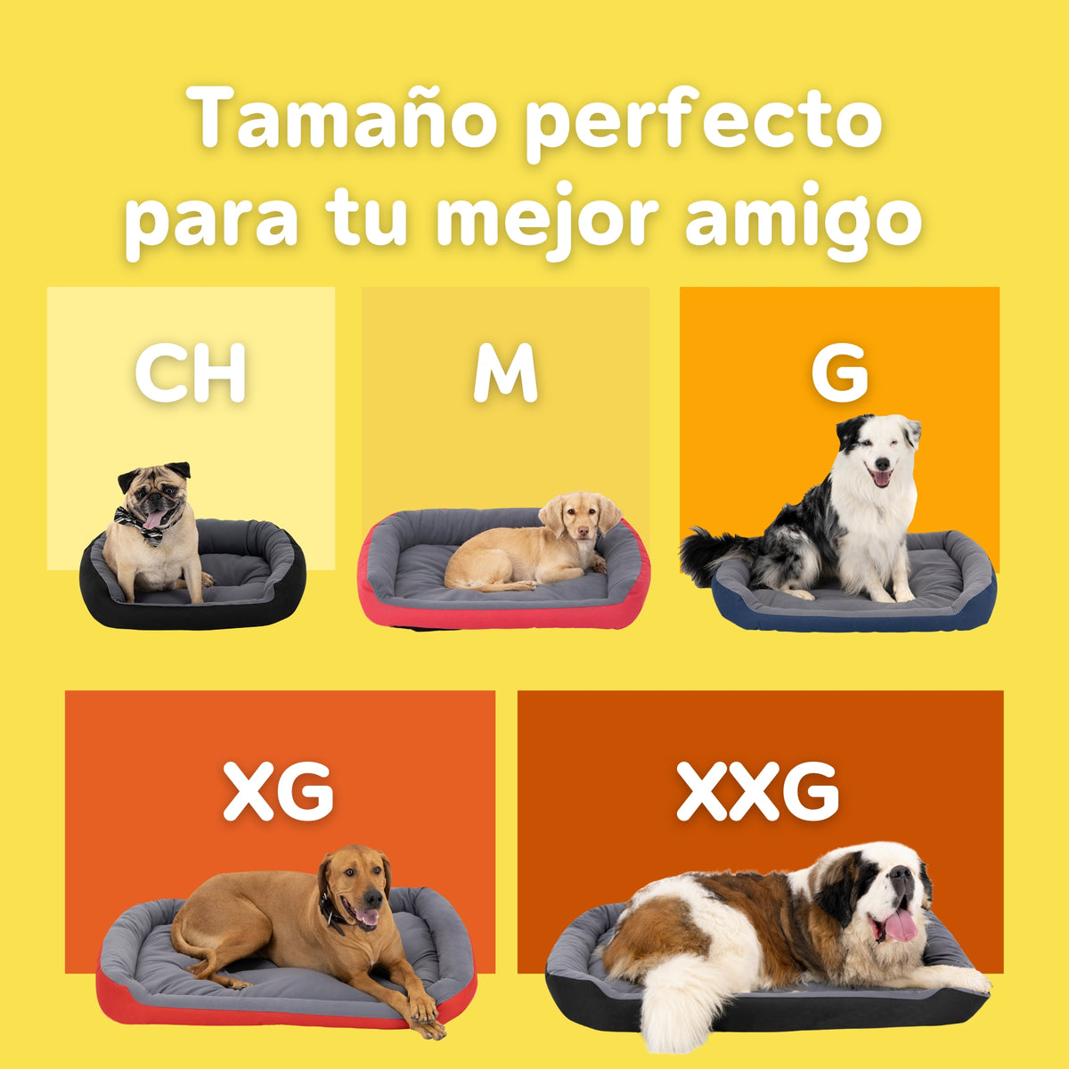 Cama Ortopédica Clasica