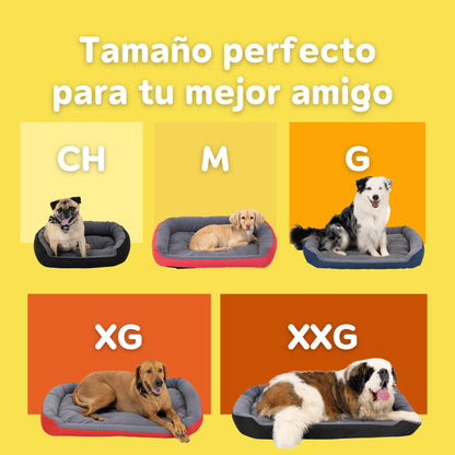 Cama Ortopédica Clasica